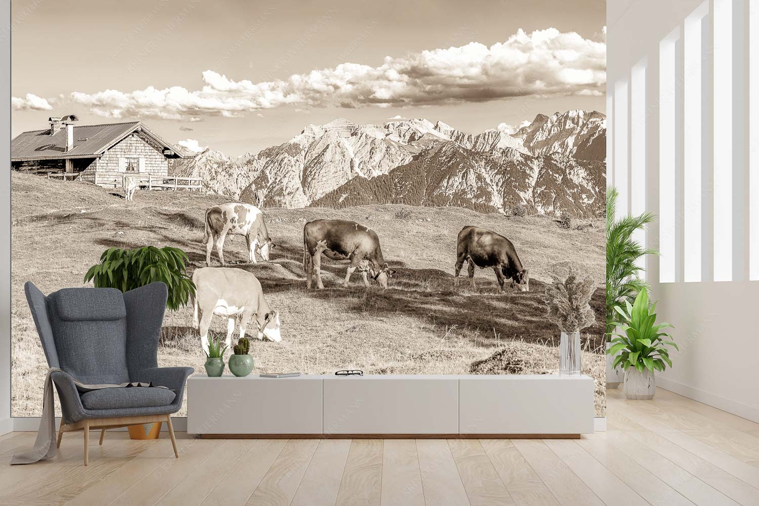 Auf da Krüneralm IV – Fototapete – Größe ca. 300x200cm, Seitenverhältnis 3:2 — Junge Kälber im Estergebirge Blick über Krüneralm ins Karwendelgebirge - Auf da Krüneralm IV - Fototapete - Größe ca. 300x200cm, Seitenverhältnis 3:2 - Junge Kälber im Estergebirge - weitere Infos unter https://www.kriner-weiermann.de