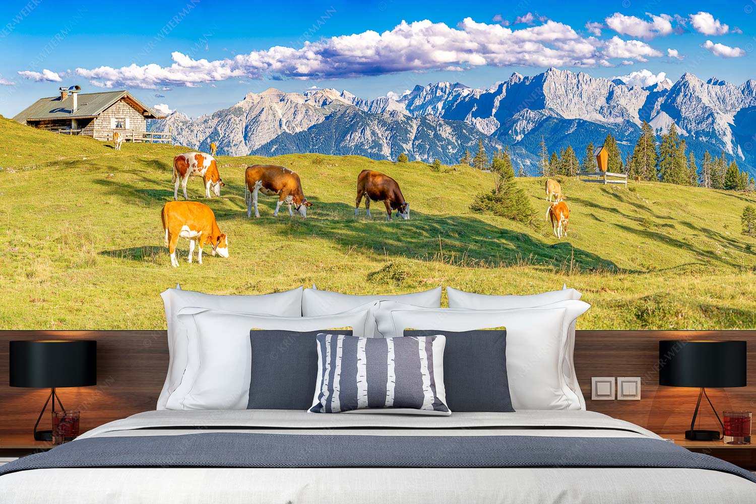 Auf da Krüneralm IV – Fototapete – Größe ca. 350x140cm, Seitenverhältnis 2,5:1 — Junge Kälber im Estergebirge Blick über Krüneralm ins Karwendelgebirge - Auf da Krüneralm IV - Fototapete - Größe ca. 350x140cm, Seitenverhältnis 2,5:1 - Junge Kälber im Estergebirge - weitere Infos unter https://www.kriner-weiermann.de