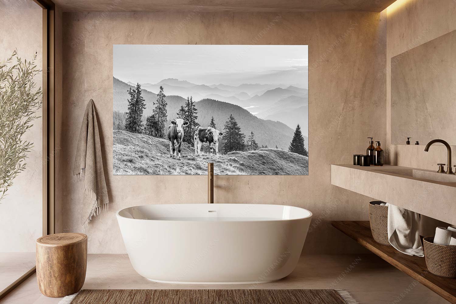 Jungvieh auf der Wallgauer Alm im Estergebirge mit Blick zur Benediktenwand bei Sonnenaufgang - Guten Morgen - Wandbild - Größe ca. 160x240cm, Seitenverhältnis 2:3 - Junge Rinder auf der Wallgaueralm - weitere Infos unter https://www.kriner-weiermann.de
