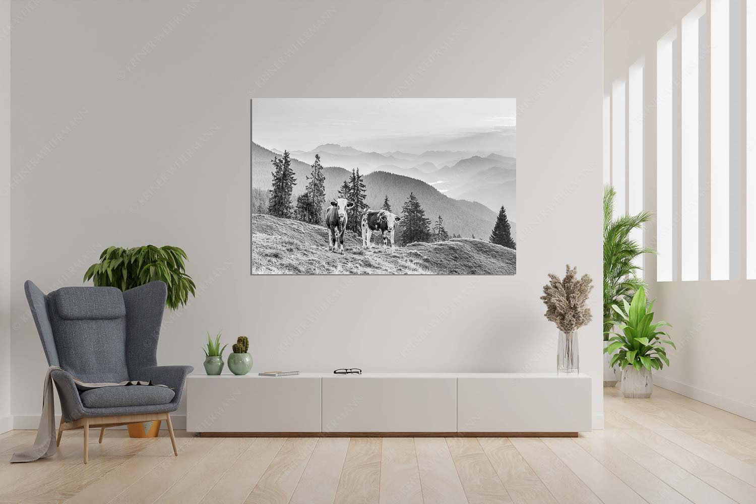 Guten Morgen – Wandbild – Größe ca. 120x180cm, Seitenverhältnis 2:3 — Junge Rinder auf der Wallgaueralm Jungvieh auf der Wallgauer Alm im Estergebirge mit Blick zur Benediktenwand bei Sonnenaufgang - Guten Morgen - Wandbild - Größe ca. 120x180cm, Seitenverhältnis 2:3 - Junge Rinder auf der Wallgaueralm - weitere Infos unter https://www.kriner-weiermann.de