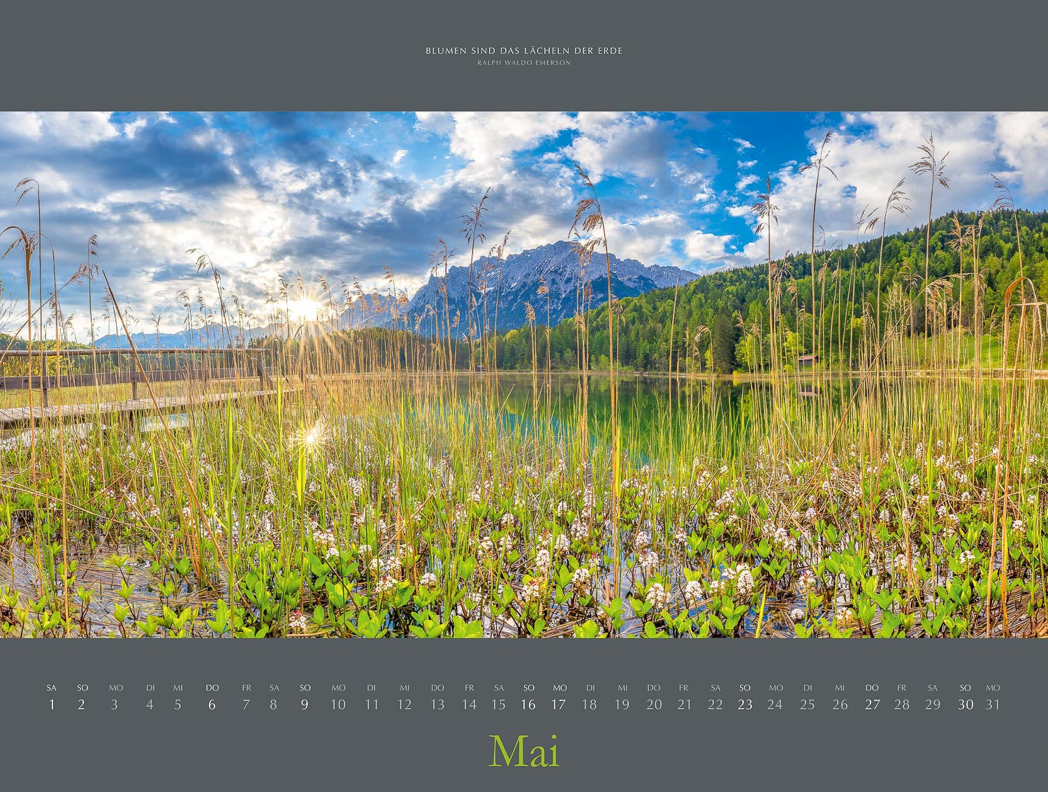 Bildkalender „Augenblicke zwischen Karwendel und Zugspitze“ 2027 — Mai 2027 Im Frühling blüht der Fieberklee entlang der Ufer des Lautersees - Bildkalender "Augenblicke zwischen Karwendel und Zugspitze" 2027 - Mai 2027