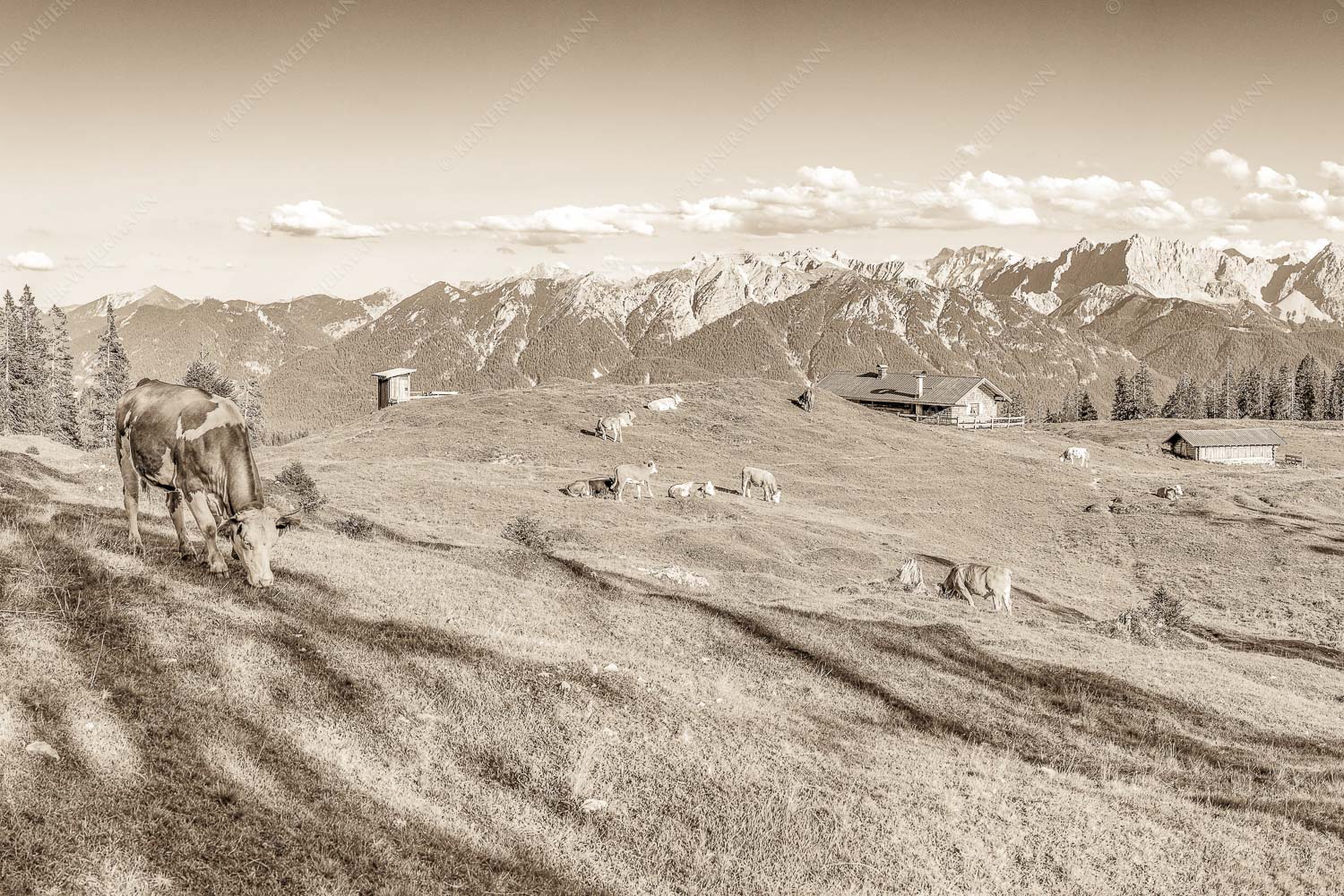 Blick über Krüneralm ins Karwendelgebirge