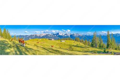 Blick über Krüneralm ins Karwendelgebirge - Auf da Krüneralm - Seitenverhältnis 4:1 - Kühe auf der Alm im Estergebirge - weitere Infos unter https://www.kriner-weiermann.de
