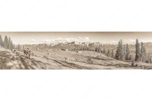 Blick über Krüneralm ins Karwendelgebirge - Auf da Krüneralm - Seitenverhältnis 4:1 - Kühe auf der Alm im Estergebirge - weitere Infos unter https://www.kriner-weiermann.de
