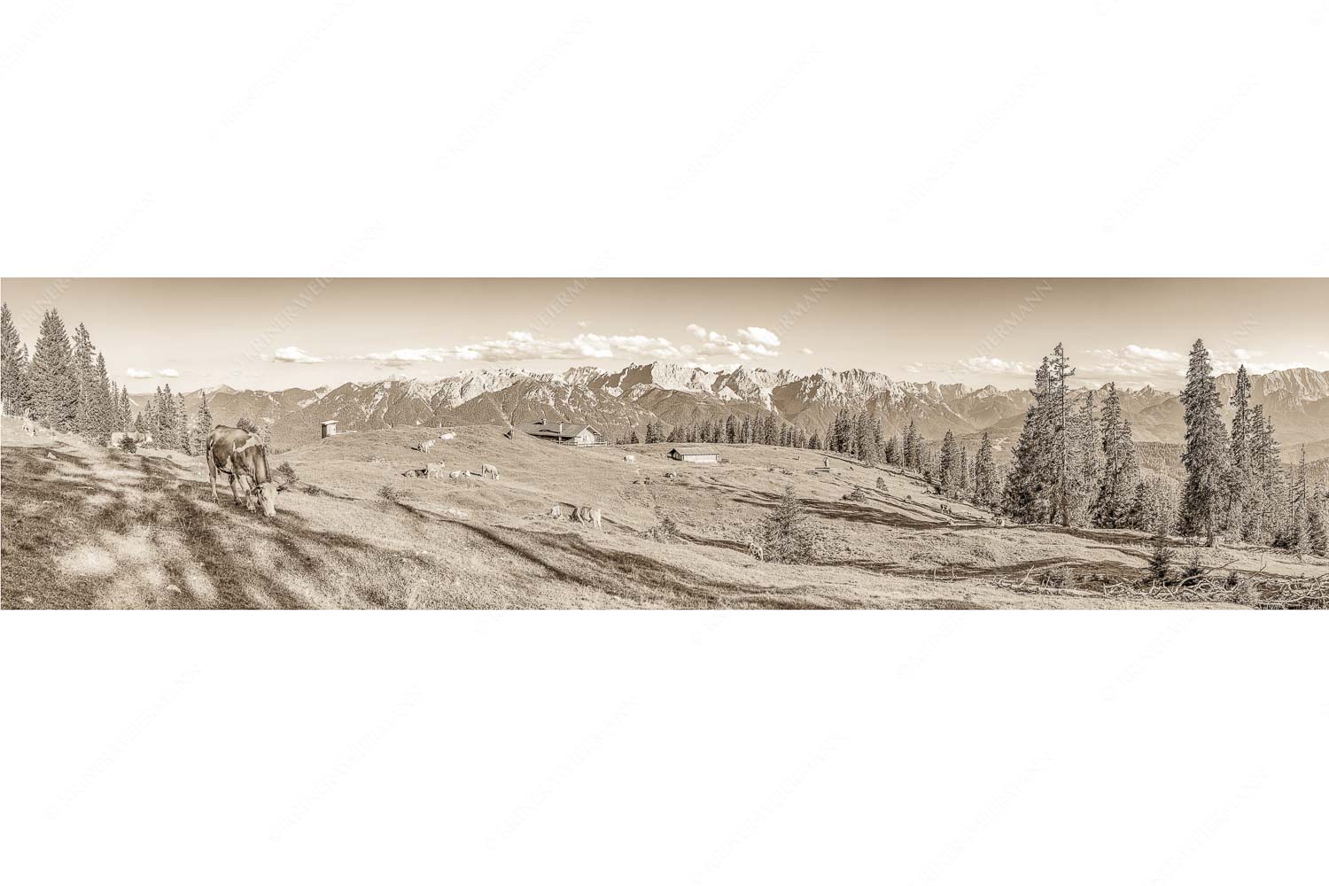 Blick über Krüneralm ins Karwendelgebirge