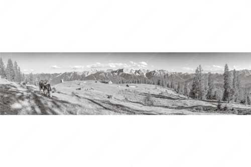Blick über Krüneralm ins Karwendelgebirge - Auf da Krüneralm - Seitenverhältnis 4:1 - Kühe auf der Alm im Estergebirge - weitere Infos unter https://www.kriner-weiermann.de