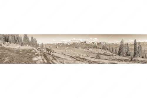 Blick über Krüneralm ins Karwendelgebirge - Auf da Krüneralm - Seitenverhältnis 5:1 - Kühe auf der Alm im Estergebirge - weitere Infos unter https://www.kriner-weiermann.de