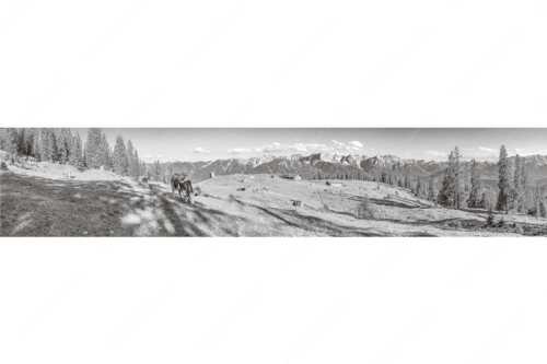 Blick über Krüneralm ins Karwendelgebirge - Auf da Krüneralm - Seitenverhältnis 5:1 - Kühe auf der Alm im Estergebirge - weitere Infos unter https://www.kriner-weiermann.de