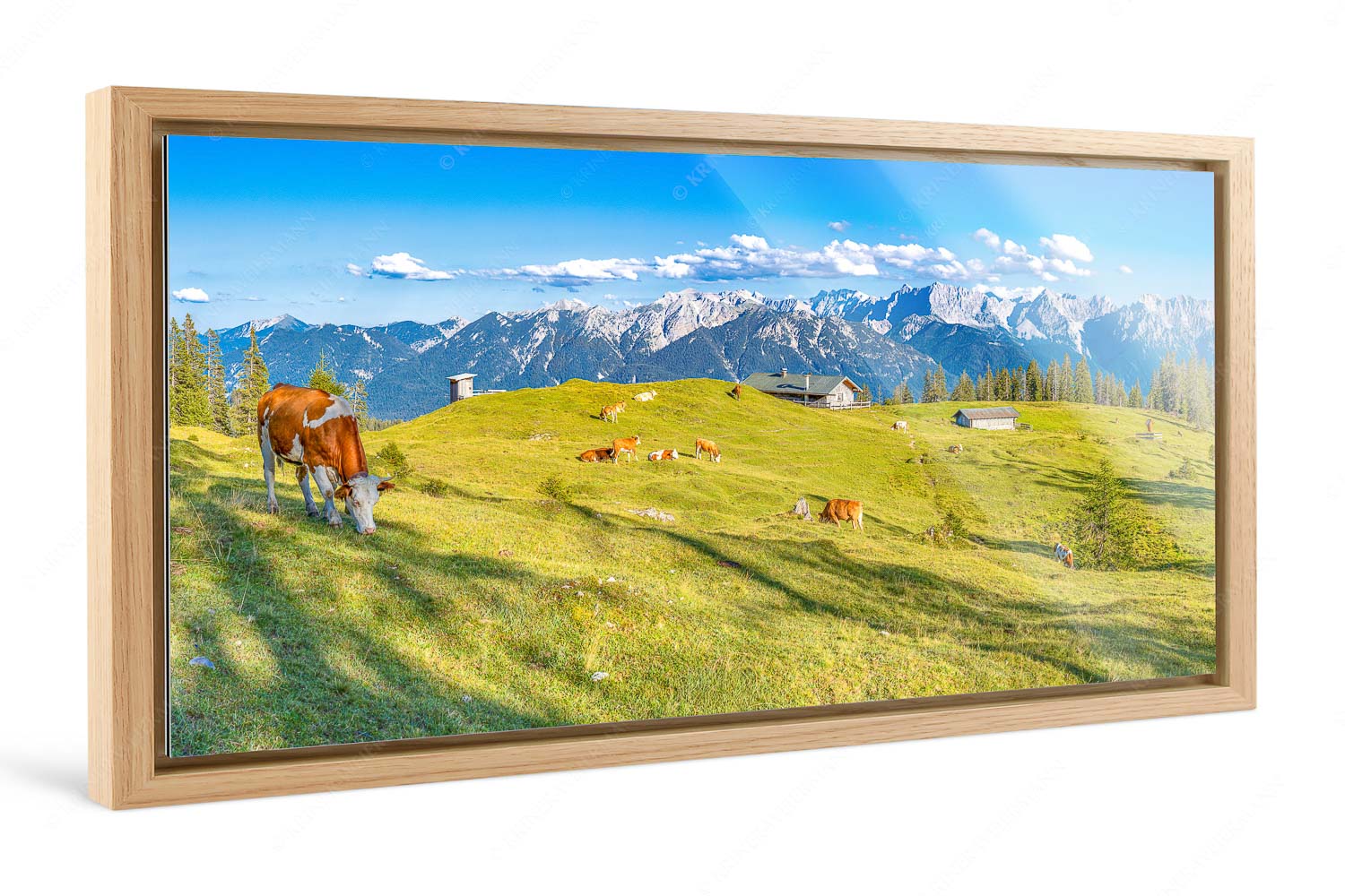 Auf da Krüneralm – Foto im Schattenfugen-Rahmen, Seitenverhältnis 2:1 — Kühe auf der Alm im Estergebirge Blick über Krüneralm ins Karwendelgebirge - Auf da Krüneralm - Foto im Schattenfugen-Rahmen, Seitenverhältnis 2:1 - Kühe auf der Alm im Estergebirge - weitere Infos unter https://www.kriner-weiermann.de