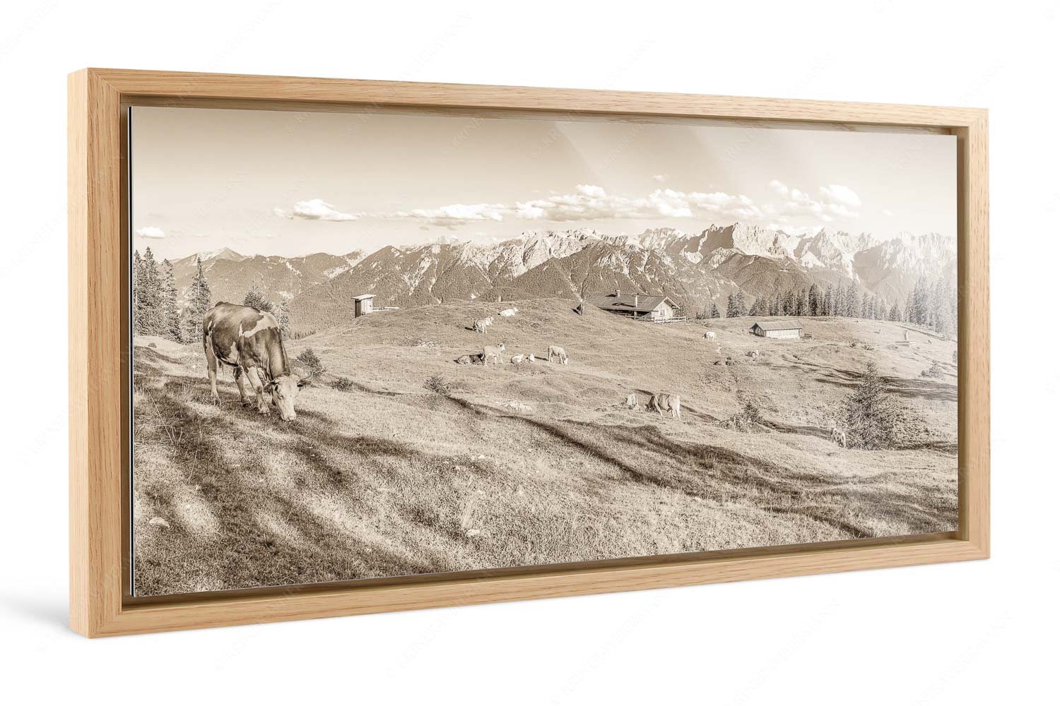 Auf da Krüneralm – Foto im Schattenfugen-Rahmen, Seitenverhältnis 2:1 — Kühe auf der Alm im Estergebirge Blick über Krüneralm ins Karwendelgebirge - Auf da Krüneralm - Foto im Schattenfugen-Rahmen, Seitenverhältnis 2:1 - Kühe auf der Alm im Estergebirge - weitere Infos unter https://www.kriner-weiermann.de