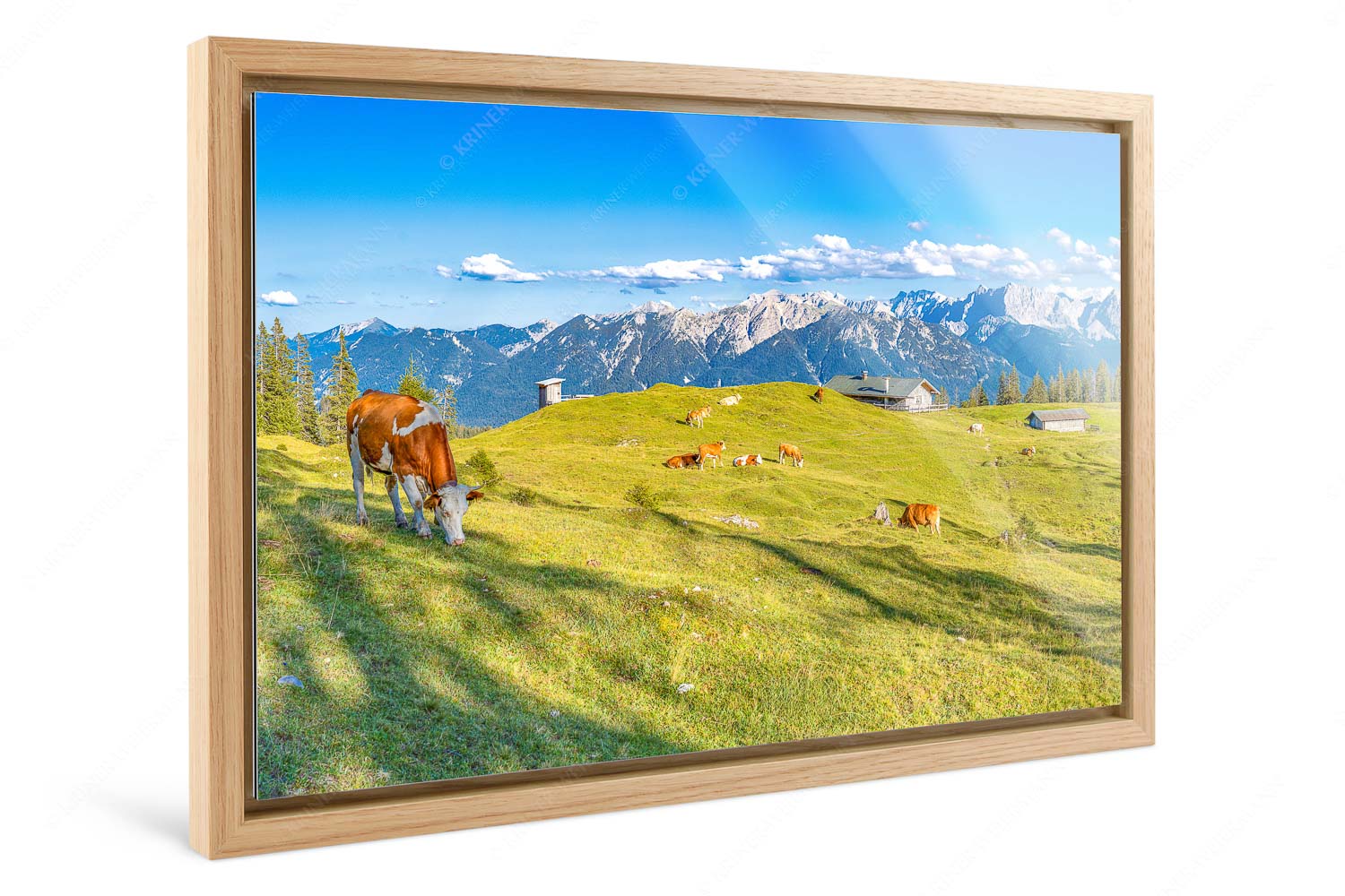 Auf da Krüneralm – Foto im Schattenfugen-Rahmen, Seitenverhältnis 3:2 — Kühe auf der Alm im Estergebirge Blick über Krüneralm ins Karwendelgebirge - Auf da Krüneralm - Foto im Schattenfugen-Rahmen, Seitenverhältnis 3:2 - Kühe auf der Alm im Estergebirge - weitere Infos unter https://www.kriner-weiermann.de