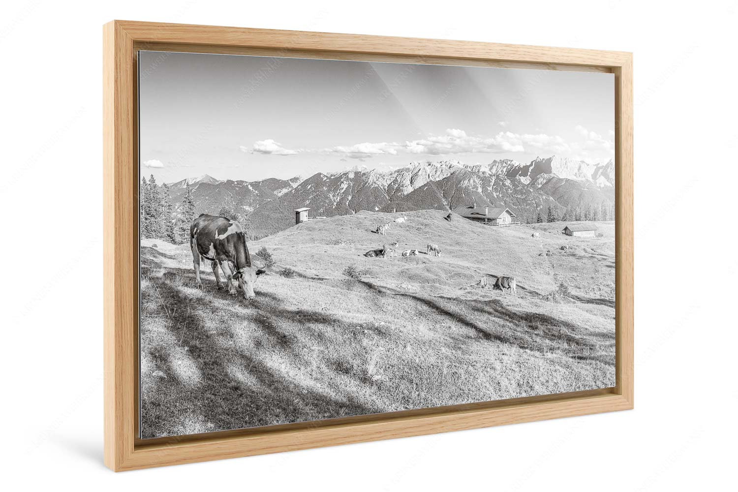 Auf da Krüneralm – Foto im Schattenfugen-Rahmen, Seitenverhältnis 3:2 — Kühe auf der Alm im Estergebirge Blick über Krüneralm ins Karwendelgebirge - Auf da Krüneralm - Foto im Schattenfugen-Rahmen, Seitenverhältnis 3:2 - Kühe auf der Alm im Estergebirge - weitere Infos unter https://www.kriner-weiermann.de