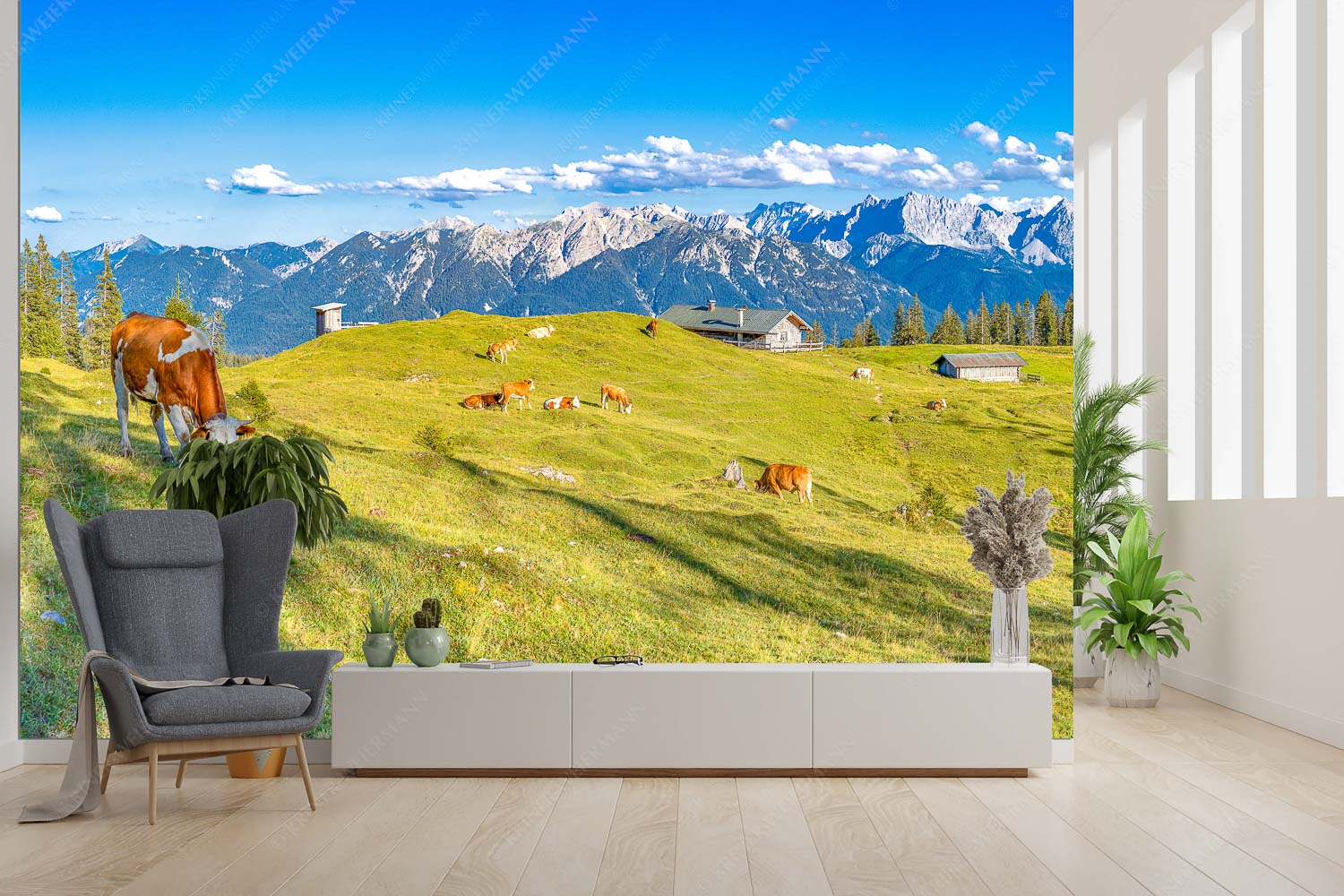 Auf da Krüneralm – Fototapete – Größe ca. 300x200cm, Seitenverhältnis 3:2 — Kühe auf der Alm im Estergebirge Blick über Krüneralm ins Karwendelgebirge - Auf da Krüneralm - Fototapete - Größe ca. 300x200cm, Seitenverhältnis 3:2 - Kühe auf der Alm im Estergebirge - weitere Infos unter https://www.kriner-weiermann.de