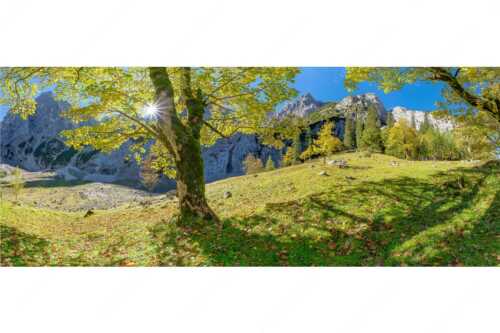 Herbstlicher Bergahorn im Oberreintal im Wettersteingebirge - Durchgeblitzt - Seitenverhältnis 2,5:1 - Bergahorn im Oberreintal - weitere Infos unter https://www.kriner-weiermann.de