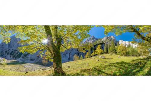 Herbstlicher Bergahorn im Oberreintal im Wettersteingebirge - Durchgeblitzt - Seitenverhältnis 3:1 - Bergahorn im Oberreintal - weitere Infos unter https://www.kriner-weiermann.de