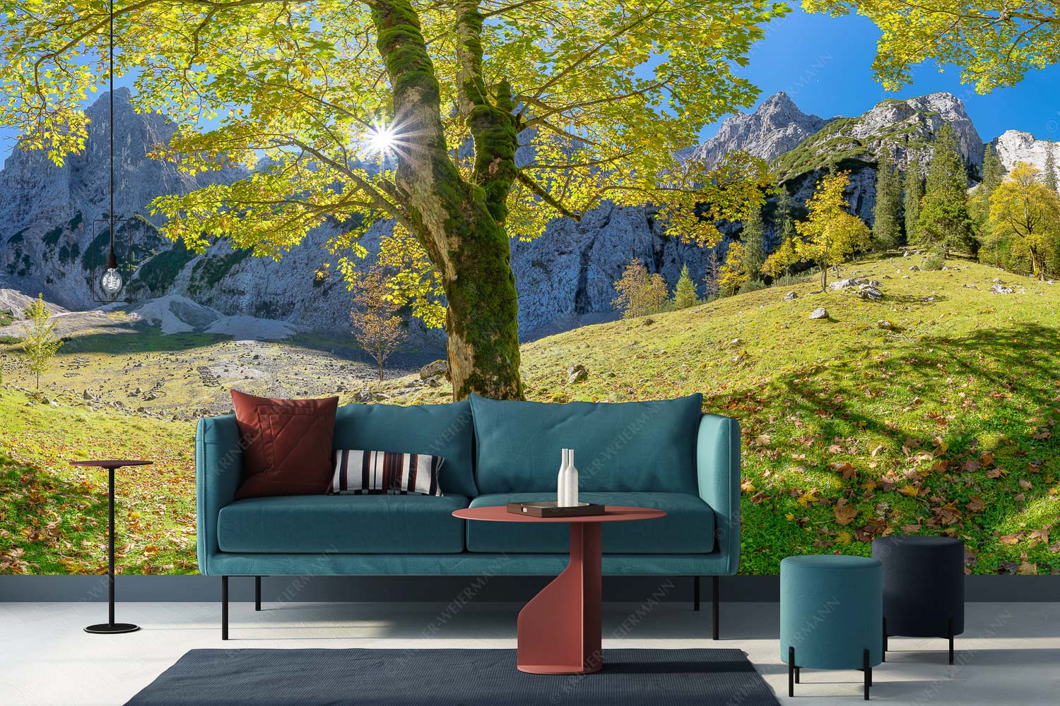 Durchgeblitzt – Fototapete – Größe ca. 400x200cm, Seitenverhältnis 2:1 — Bergahorn im Oberreintal Herbstlicher Bergahorn im Oberreintal im Wettersteingebirge - Durchgeblitzt - Fototapete - Größe ca. 400x200cm, Seitenverhältnis 2:1 - Bergahorn im Oberreintal - weitere Infos unter https://www.kriner-weiermann.de