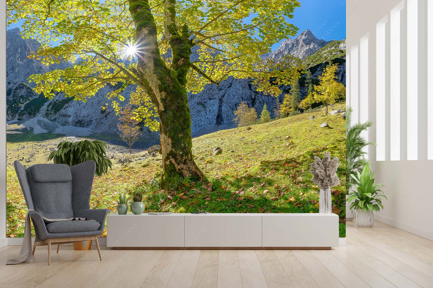 Durchgeblitzt – Fototapete – Größe ca. 300x200cm, Seitenverhältnis 3:2 — Bergahorn im Oberreintal Herbstlicher Bergahorn im Oberreintal im Wettersteingebirge - Durchgeblitzt - Fototapete - Größe ca. 300x200cm, Seitenverhältnis 3:2 - Bergahorn im Oberreintal - weitere Infos unter https://www.kriner-weiermann.de