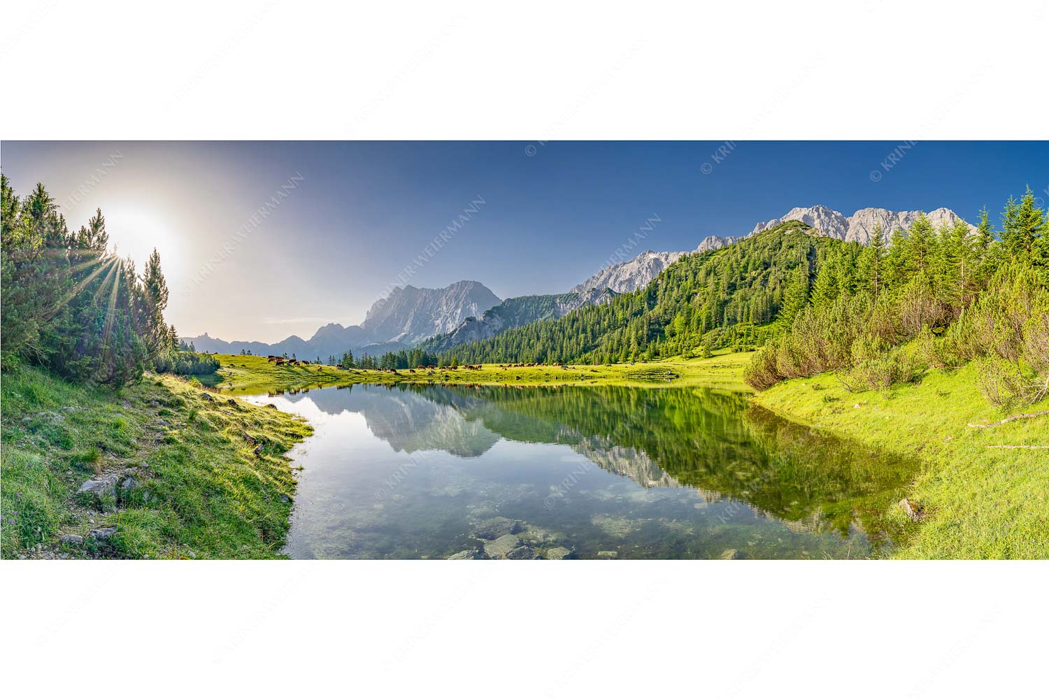 Almfrieden – Seitenverhältnis 2,5:1 — Vereineralm im Karwendel Almsommer auf der Fereineralm im Karwendelgebirge