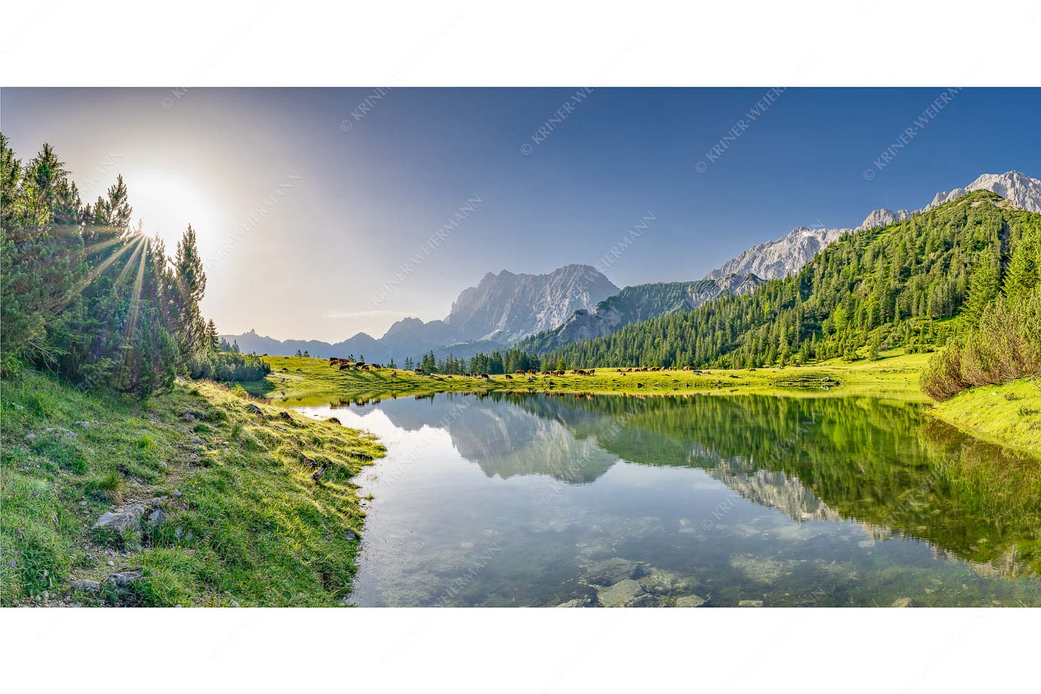 Almsommer auf der Fereineralm im Karwendelgebirge