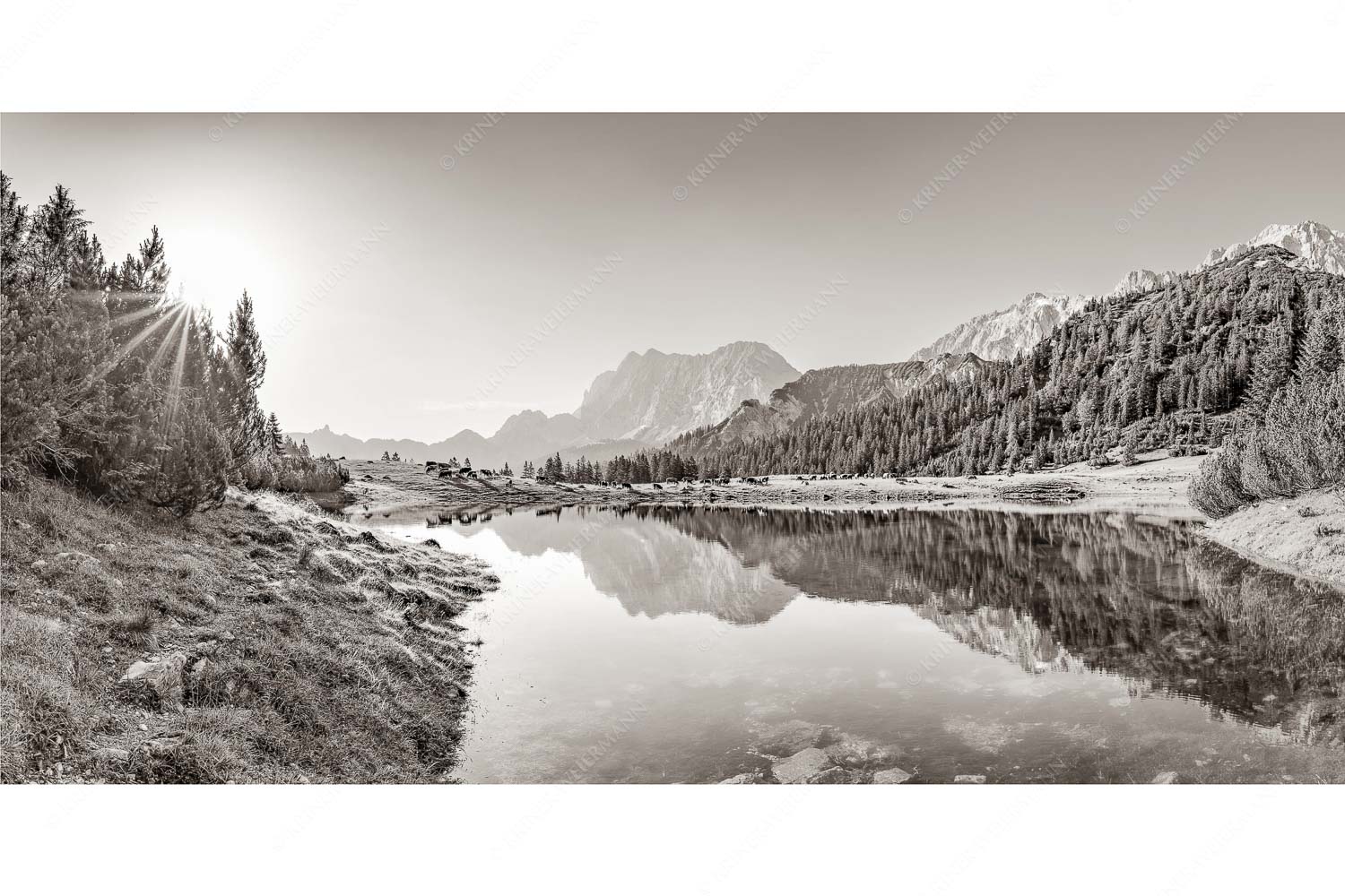 Almfrieden – Seitenverhältnis 2:1 — Vereineralm im Karwendel Almsommer auf der Fereineralm im Karwendelgebirge