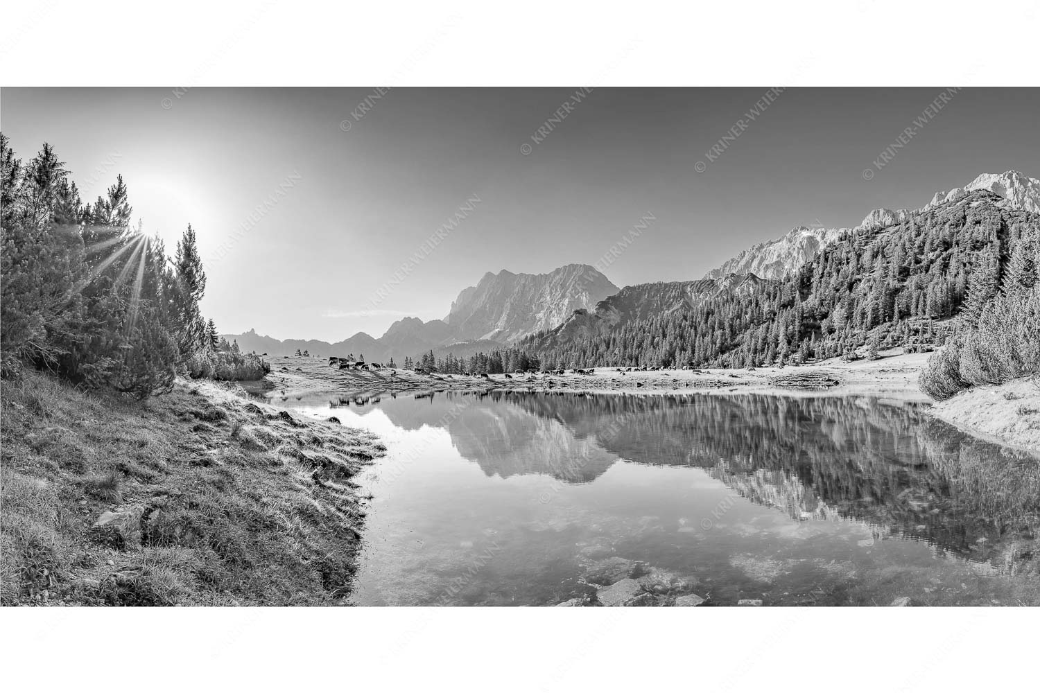 Almfrieden – Seitenverhältnis 2:1 — Vereineralm im Karwendel Almsommer auf der Fereineralm im Karwendelgebirge