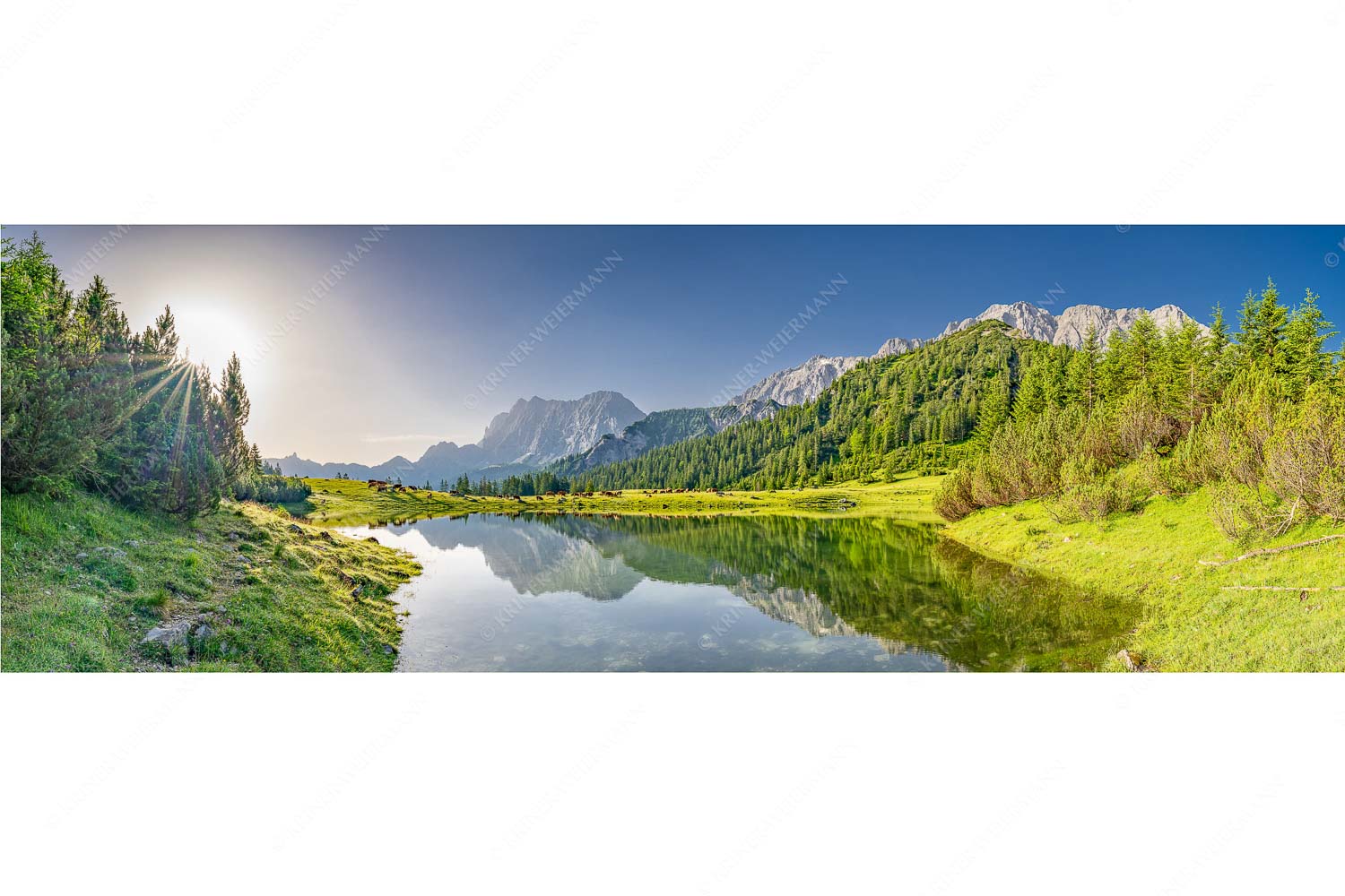 Almsommer auf der Fereineralm im Karwendelgebirge
