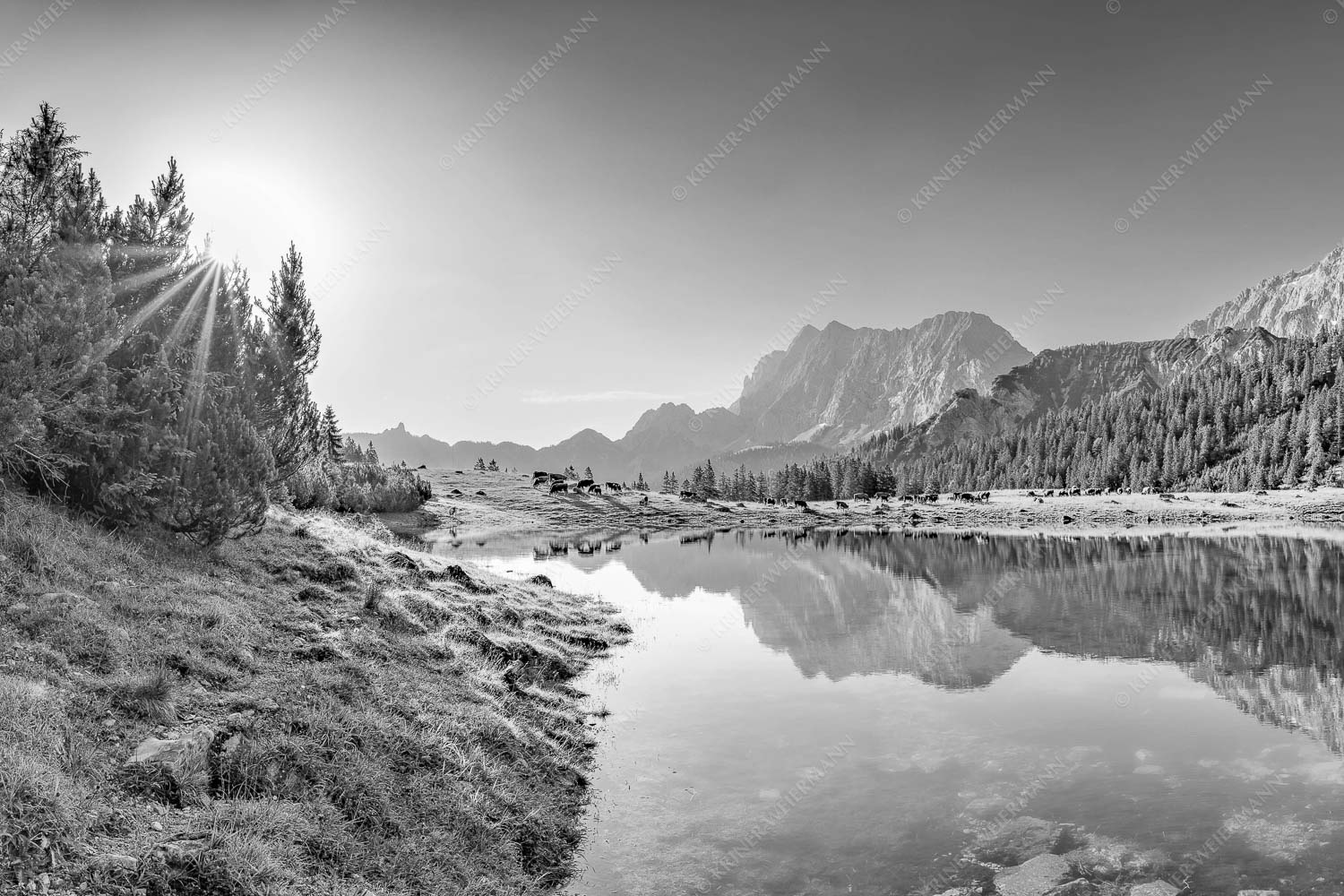 Almfrieden – Seitenverhältnis 3:2 — Vereineralm im Karwendel Almsommer auf der Fereineralm im Karwendelgebirge