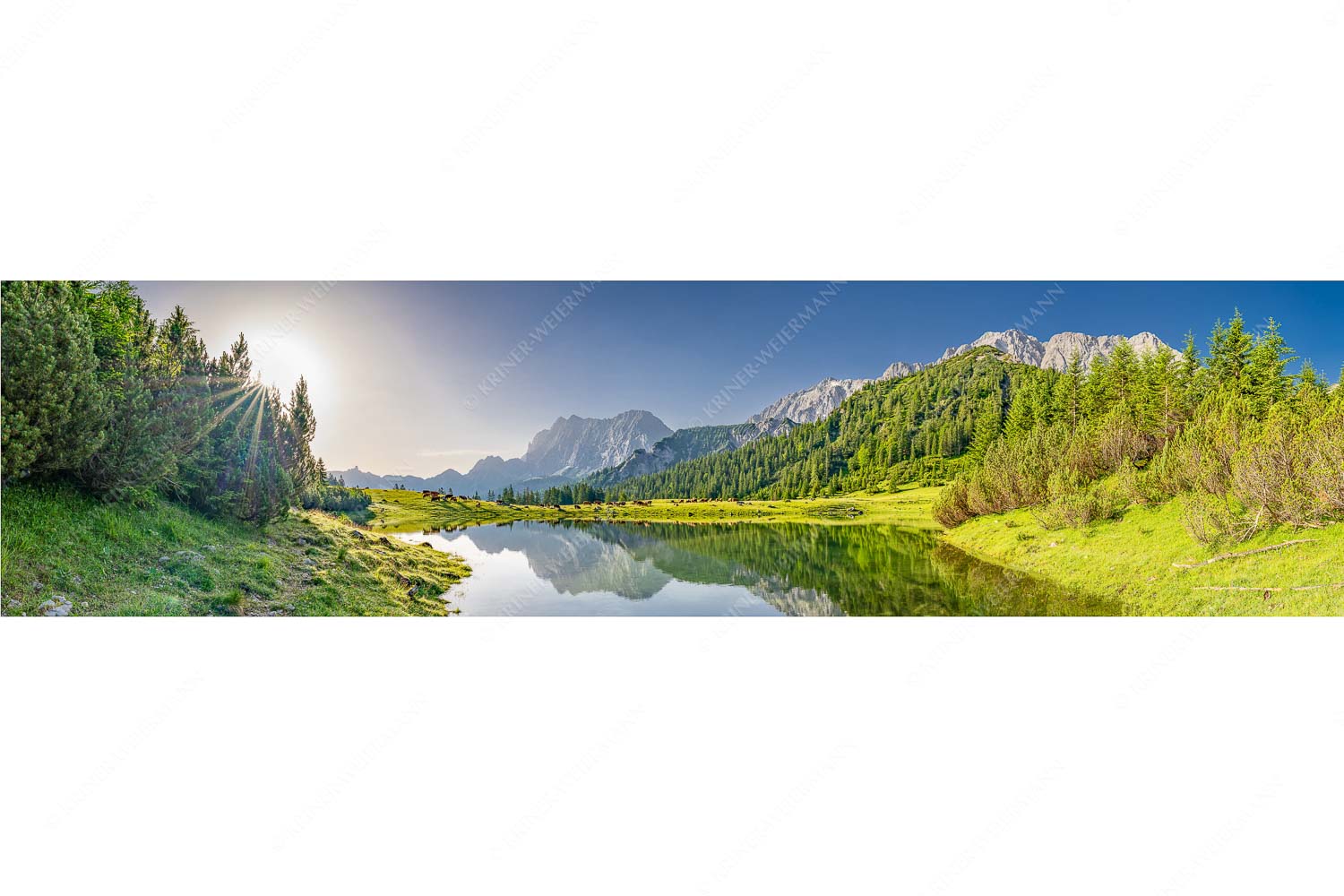 Almfrieden – Seitenverhältnis 4:1 — Vereineralm im Karwendel Almsommer auf der Fereineralm im Karwendelgebirge