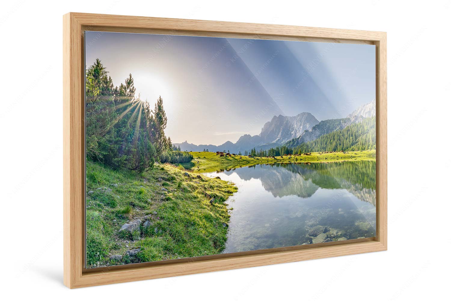 Almfrieden – Foto im Schattenfugen-Rahmen, Seitenverhältnis 3:2 — Vereineralm im Karwendel Almsommer auf der Fereineralm im Karwendelgebirge - Almfrieden - Foto im Schattenfugen-Rahmen, Seitenverhältnis 3:2 - Vereineralm im Karwendel - weitere Infos unter https://www.kriner-weiermann.de