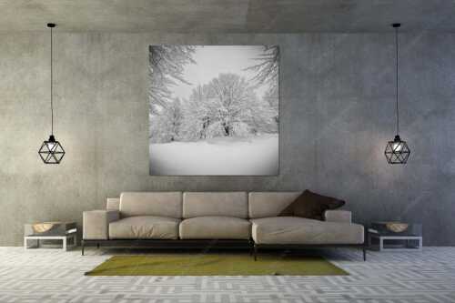 Frisch verschneiter Hutewald am Kranzberg bei Mittenwald - Lautlos - Wandbild - Größe ca. 160x160cm, Seitenverhältnis 1: - Kranzberg bei Mittenwald - weitere Infos unter https://www.kriner-weiermann.de