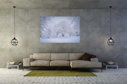 Frisch verschneiter Hutewald am Kranzberg bei Mittenwald - Lautlos - Wandbild - Größe ca. 180x120cm, Seitenverhältnis 3: - Kranzberg bei Mittenwald - weitere Infos unter https://www.kriner-weiermann.de