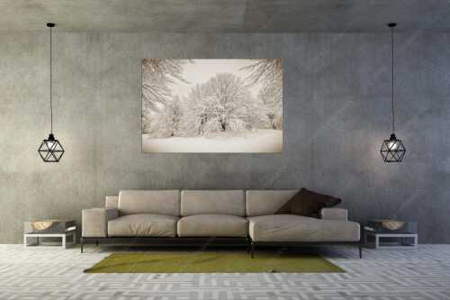 Frisch verschneiter Hutewald am Kranzberg bei Mittenwald - Lautlos - Wandbild - Größe ca. 180x120cm, Seitenverhältnis 3: - Kranzberg bei Mittenwald - weitere Infos unter https://www.kriner-weiermann.de