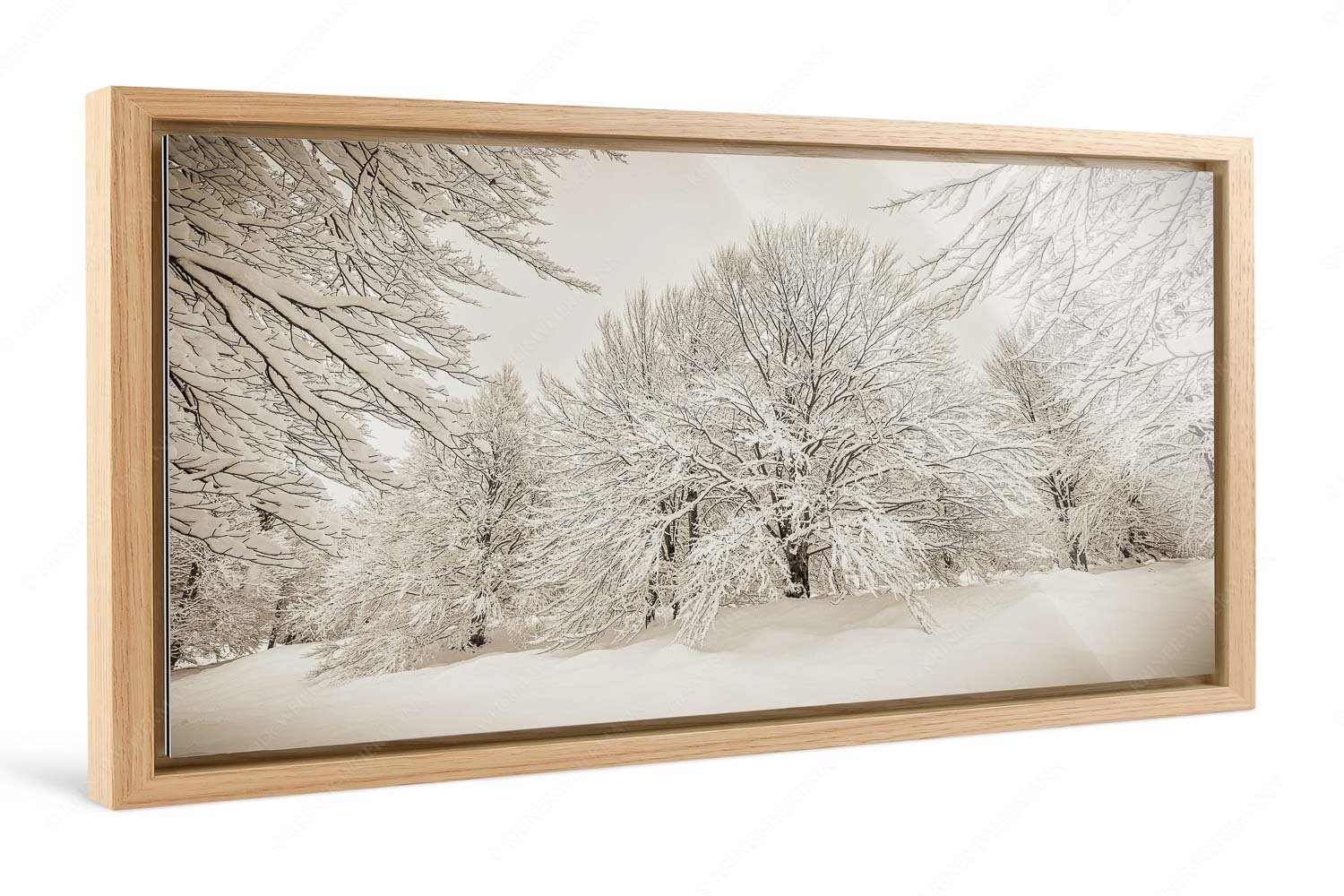 Lautlos – Foto im Schattenfugen-Rahmen, Seitenverhältnis 2:1 — Kranzberg bei Mittenwald Frisch verschneiter Hutewald am Kranzberg bei Mittenwald - Lautlos - Foto im Schattenfugen-Rahmen, Seitenverhältnis 2:1 - Kranzberg bei Mittenwald - weitere Infos unter https://www.kriner-weiermann.de