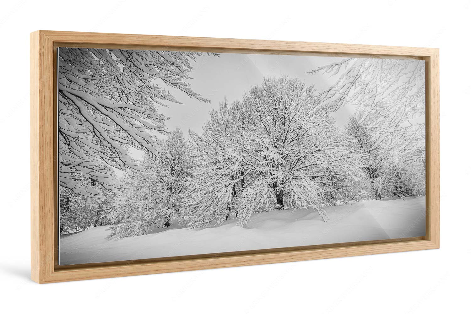 Lautlos – Foto im Schattenfugen-Rahmen, Seitenverhältnis 2:1 — Kranzberg bei Mittenwald Frisch verschneiter Hutewald am Kranzberg bei Mittenwald - Lautlos - Foto im Schattenfugen-Rahmen, Seitenverhältnis 2:1 - Kranzberg bei Mittenwald - weitere Infos unter https://www.kriner-weiermann.de