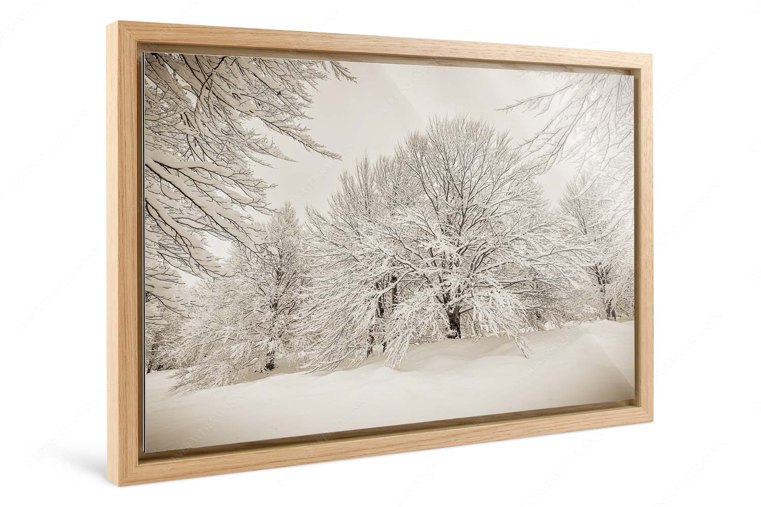 Lautlos – Foto im Schattenfugen-Rahmen, Seitenverhältnis 3:2 — Kranzberg bei Mittenwald Frisch verschneiter Hutewald am Kranzberg bei Mittenwald - Lautlos - Foto im Schattenfugen-Rahmen, Seitenverhältnis 3:2 - Kranzberg bei Mittenwald - weitere Infos unter https://www.kriner-weiermann.de