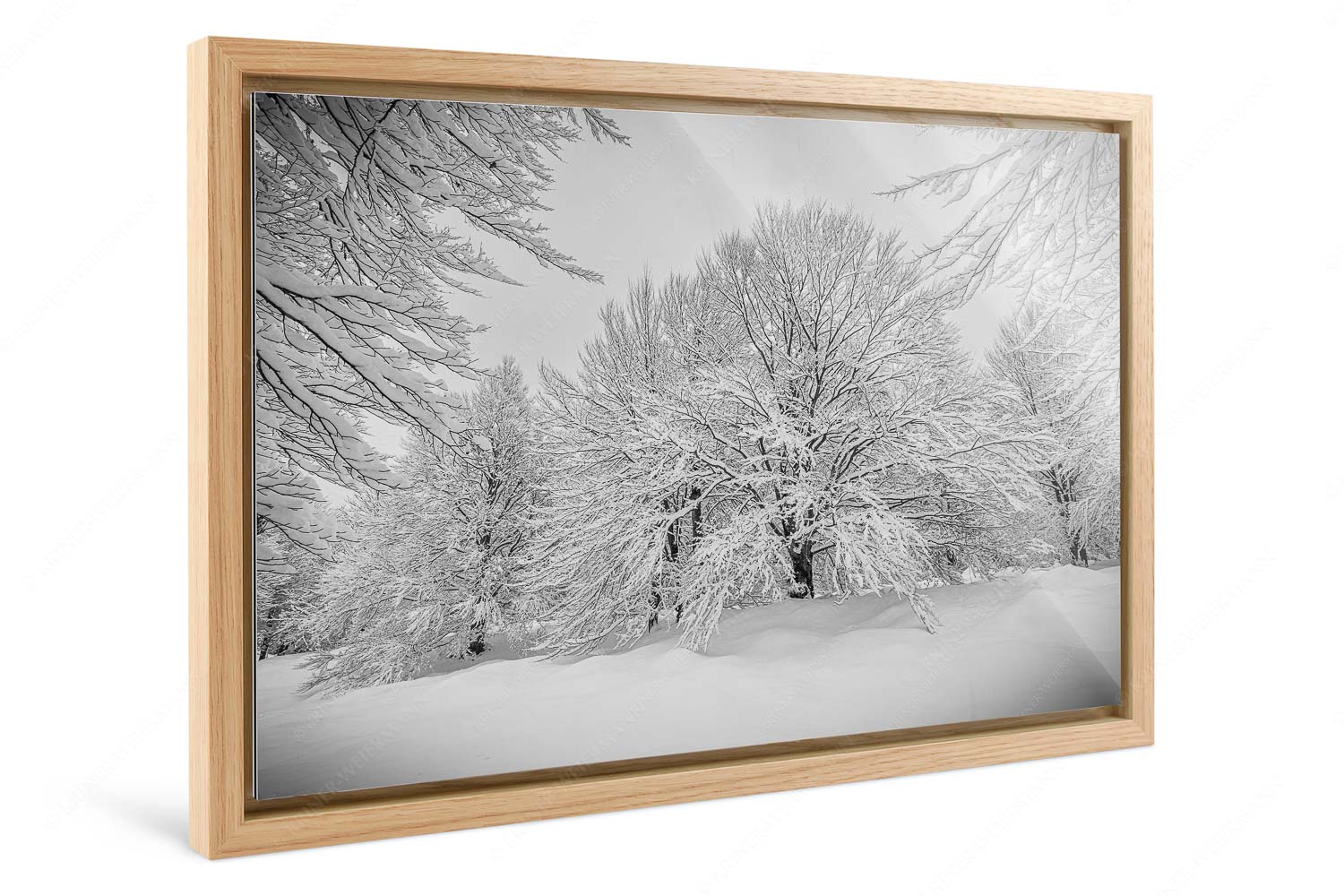 Lautlos – Foto im Schattenfugen-Rahmen, Seitenverhältnis 3:2 — Kranzberg bei Mittenwald Frisch verschneiter Hutewald am Kranzberg bei Mittenwald - Lautlos - Foto im Schattenfugen-Rahmen, Seitenverhältnis 3:2 - Kranzberg bei Mittenwald - weitere Infos unter https://www.kriner-weiermann.de