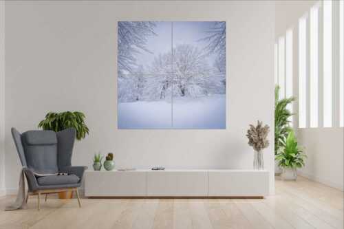 Frisch verschneiter Hutewald am Kranzberg bei Mittenwald - Lautlos - Wandbild - 4er Split, Größe ca. 180x180cm, Seitenverhältnis 1:1 - Kranzberg bei Mittenwald - weitere Infos unter https://www.kriner-weiermann.de