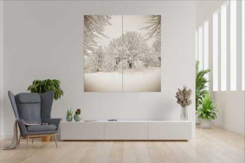 Frisch verschneiter Hutewald am Kranzberg bei Mittenwald - Lautlos - Wandbild - 4er Split, Größe ca. 180x180cm, Seitenverhältnis 1:1 - Kranzberg bei Mittenwald - weitere Infos unter https://www.kriner-weiermann.de
