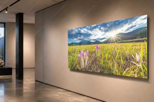 Prachtvoll zeigen sich die Herbstzeitlosen im Moor beim Barmsee - Herbstelfen - Acrylglasbild - Größe ca. 200x100cm, Seitenverhältnis 2:1 - Barmsee Sonnenuntergang - weitere Infos unter https://www.kriner-weiermann.de