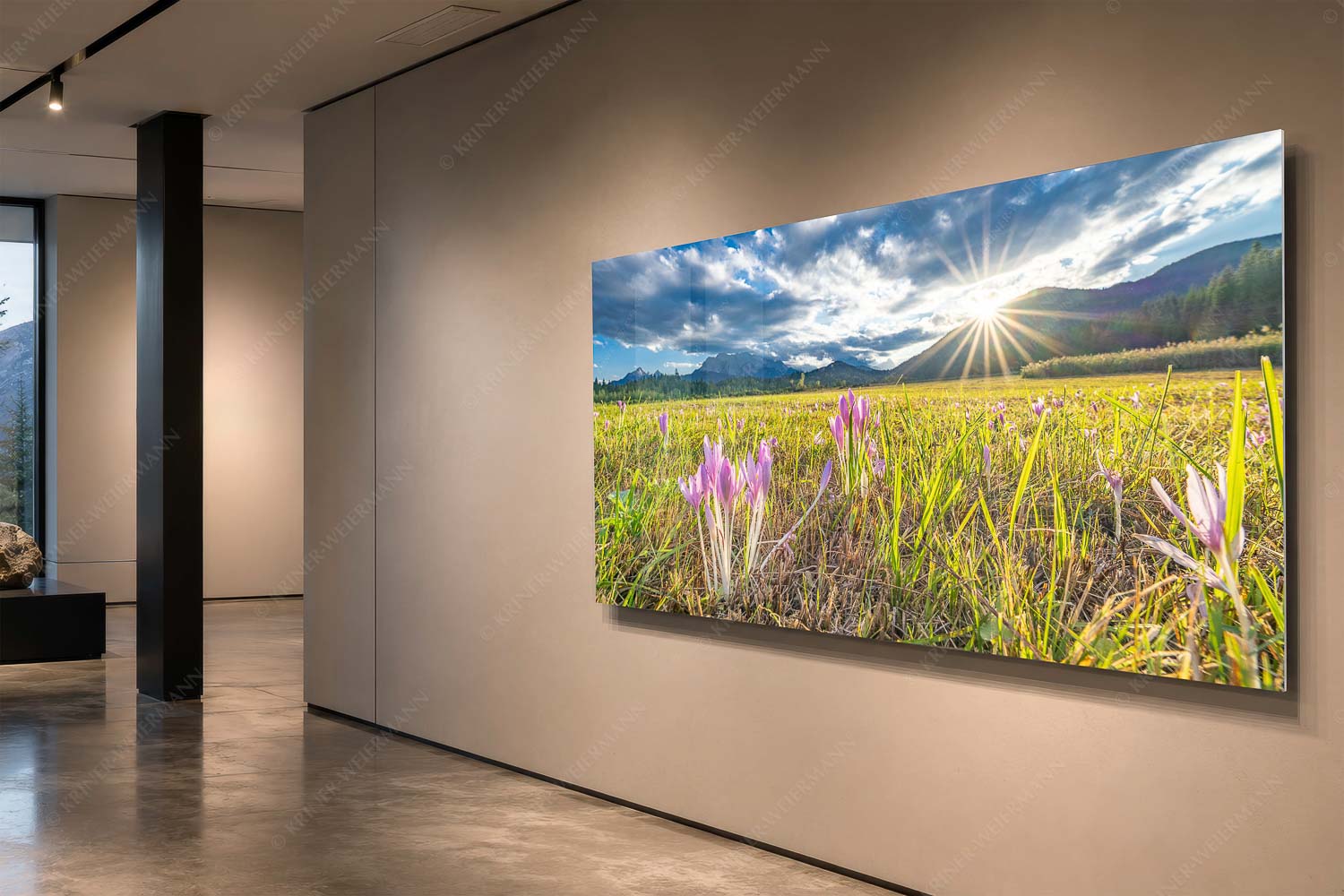 Herbstelfen – Acrylglasbild – Größe ca. 200x100cm, Seitenverhältnis 2:1 — Barmsee Sonnenuntergang Prachtvoll zeigen sich die Herbstzeitlosen im Moor beim Barmsee - Herbstelfen - Acrylglasbild - Größe ca. 200x100cm, Seitenverhältnis 2:1 - Barmsee Sonnenuntergang - weitere Infos unter https://www.kriner-weiermann.de