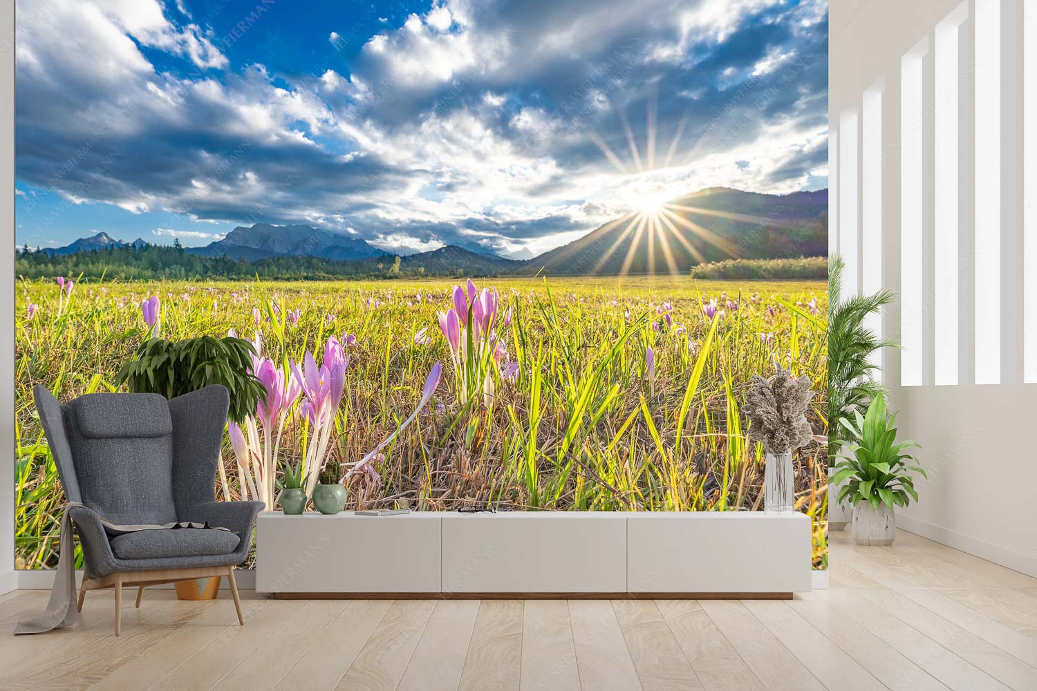 Herbstelfen – Fototapete – Größe ca. 300x200cm, Seitenverhältnis 3:2 — Barmsee Sonnenuntergang Prachtvoll zeigen sich die Herbstzeitlosen im Moor beim Barmsee - Herbstelfen - Fototapete - Größe ca. 300x200cm, Seitenverhältnis 3:2 - Barmsee Sonnenuntergang - weitere Infos unter https://www.kriner-weiermann.de