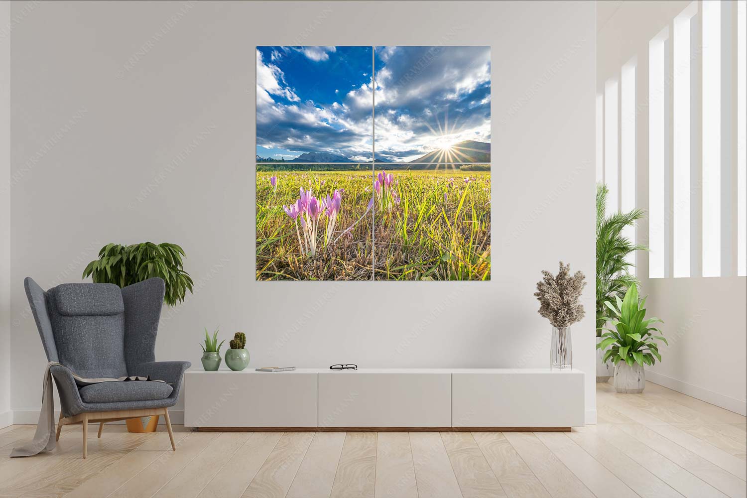 Herbstelfen – Wandbild – 4er Split, Größe ca. 180x180cm, Seitenverhältnis 1:1 — Barmsee Sonnenuntergang Prachtvoll zeigen sich die Herbstzeitlosen im Moor beim Barmsee - Herbstelfen - Wandbild - 4er Split, Größe ca. 180x180cm, Seitenverhältnis 1:1 - Barmsee Sonnenuntergang - weitere Infos unter https://www.kriner-weiermann.de